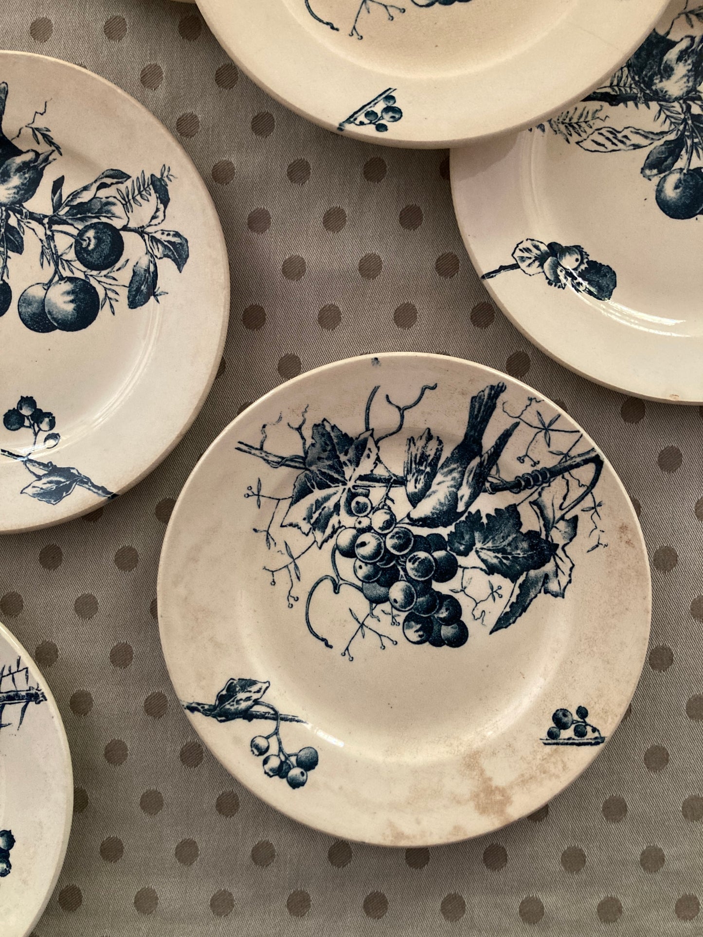 Corneilles - 6 Assiettes A Dessert