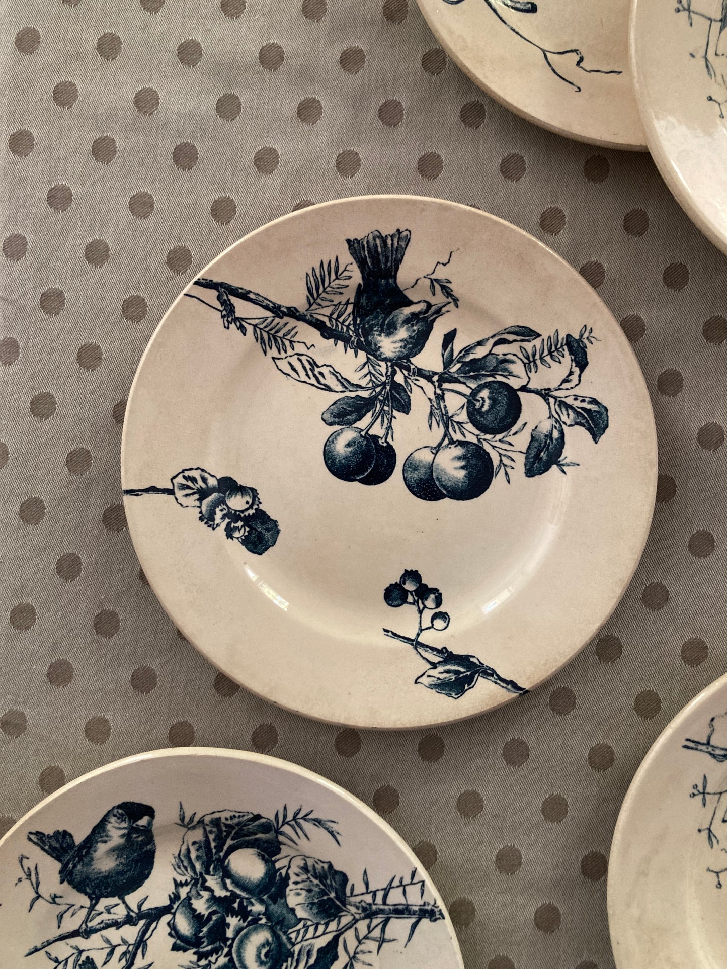 Corneilles - 6 Assiettes A Dessert