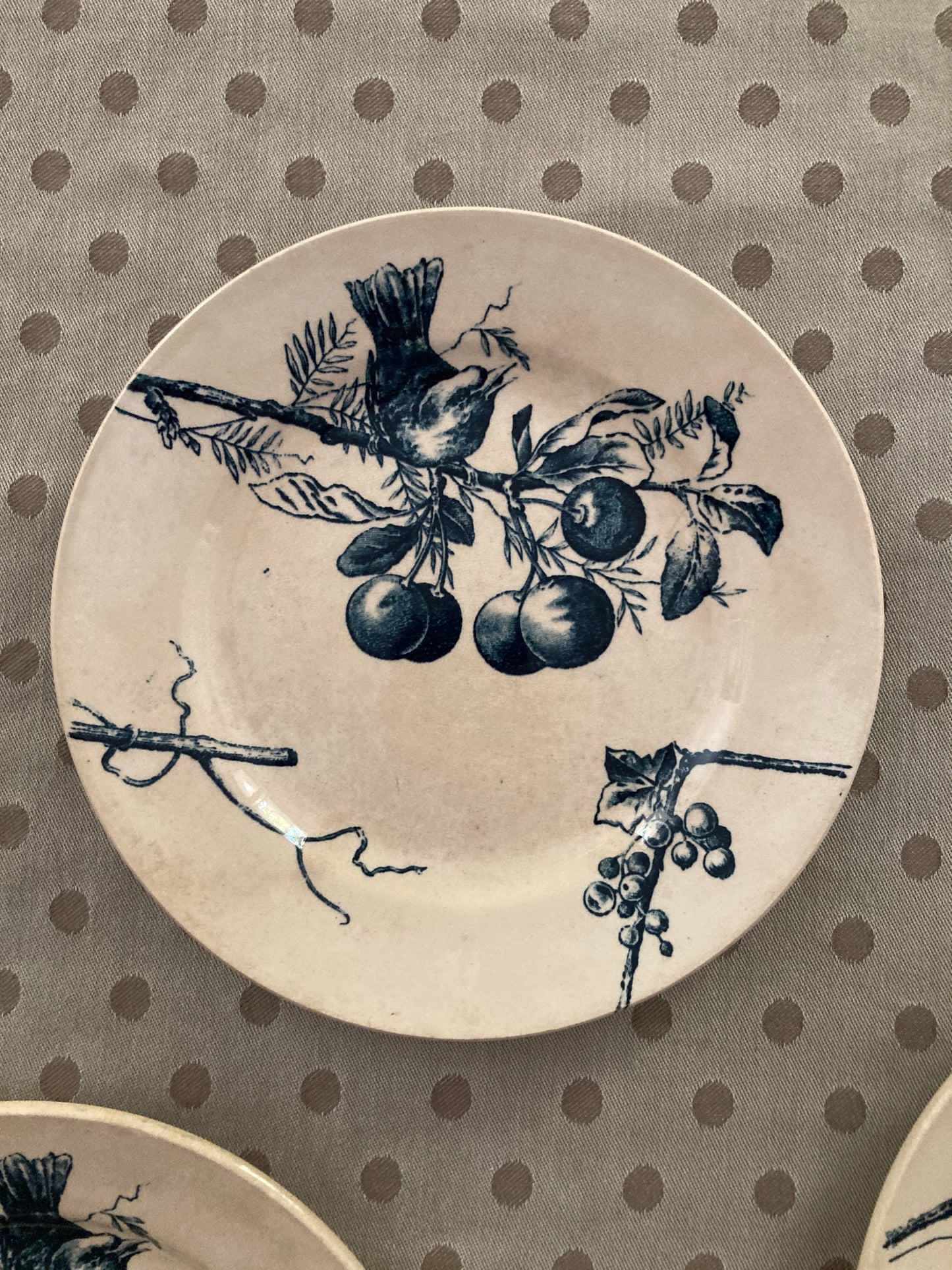 Corneilles - 6 Assiettes A Dessert