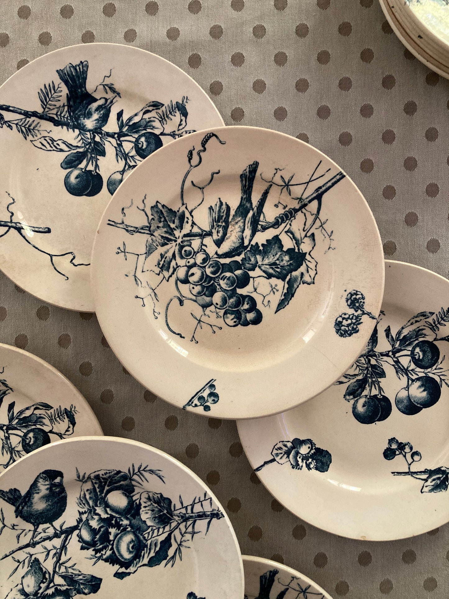 Corneilles - 6 Assiettes A Dessert