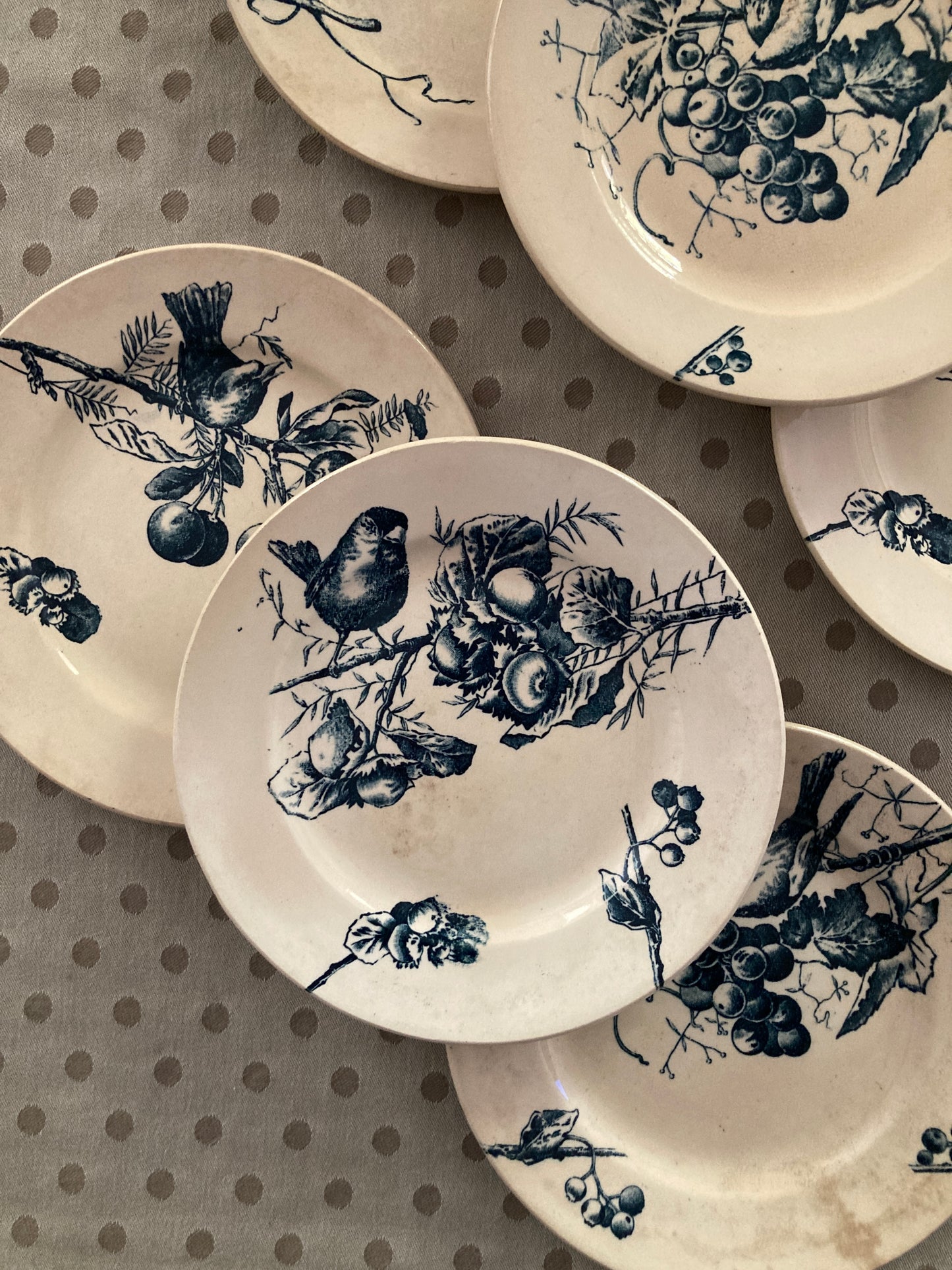 Corneilles - 6 Assiettes A Dessert