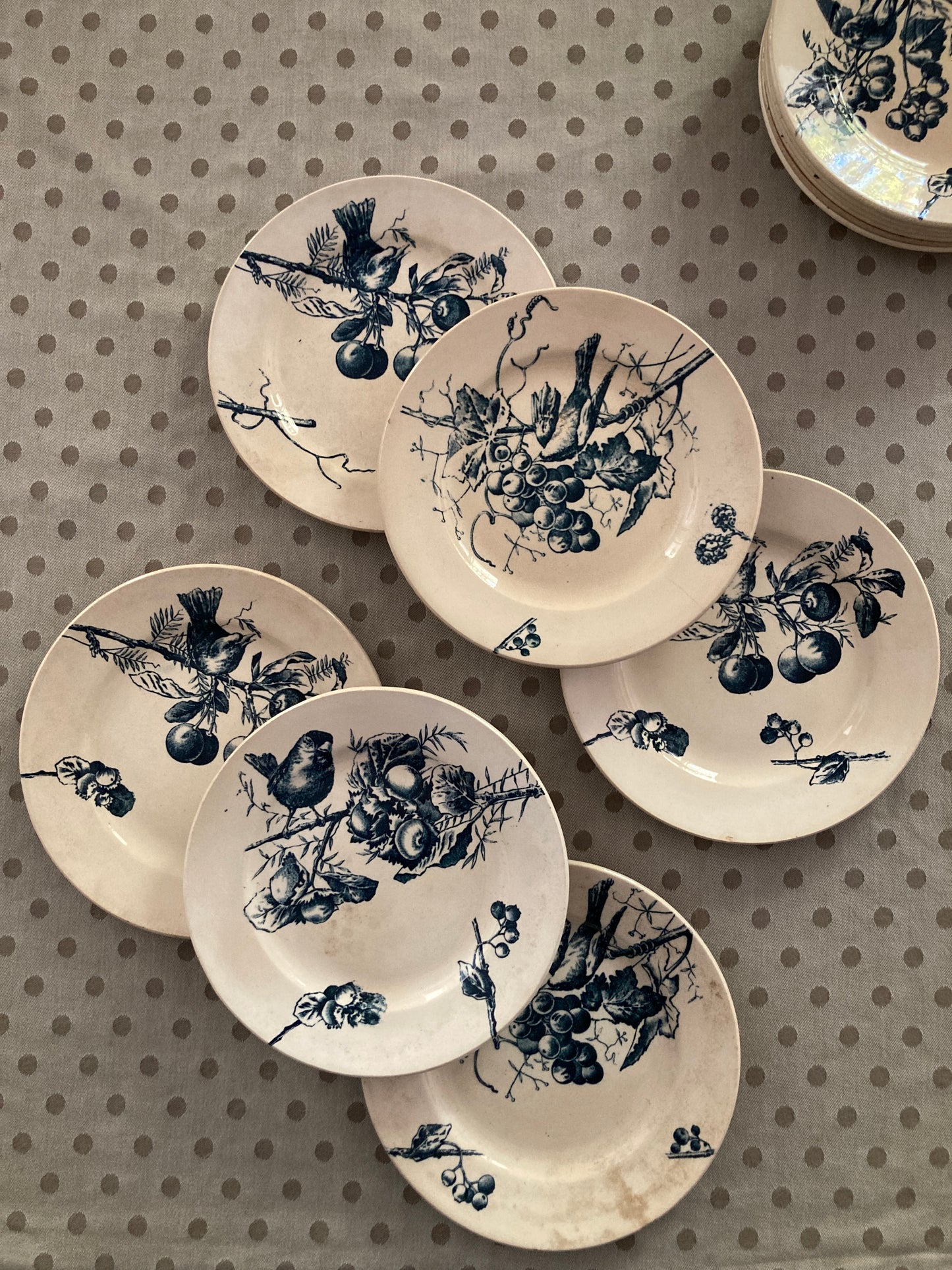 Corneilles - 6 Assiettes A Dessert