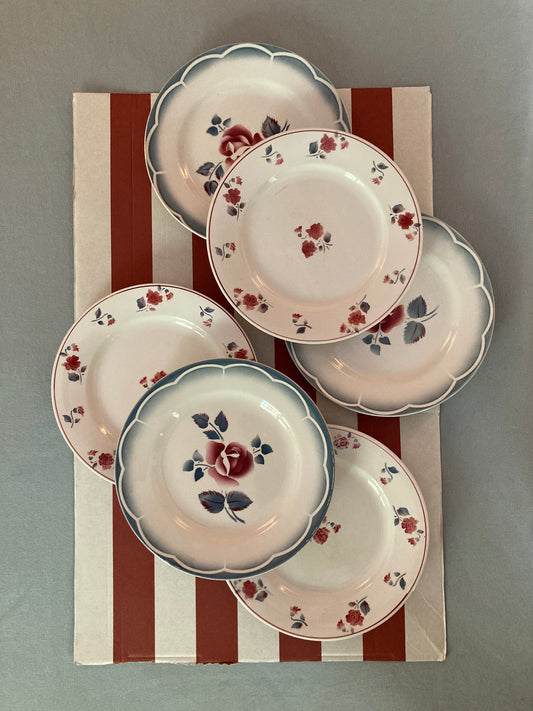 Roses - 6 Assiettes plates