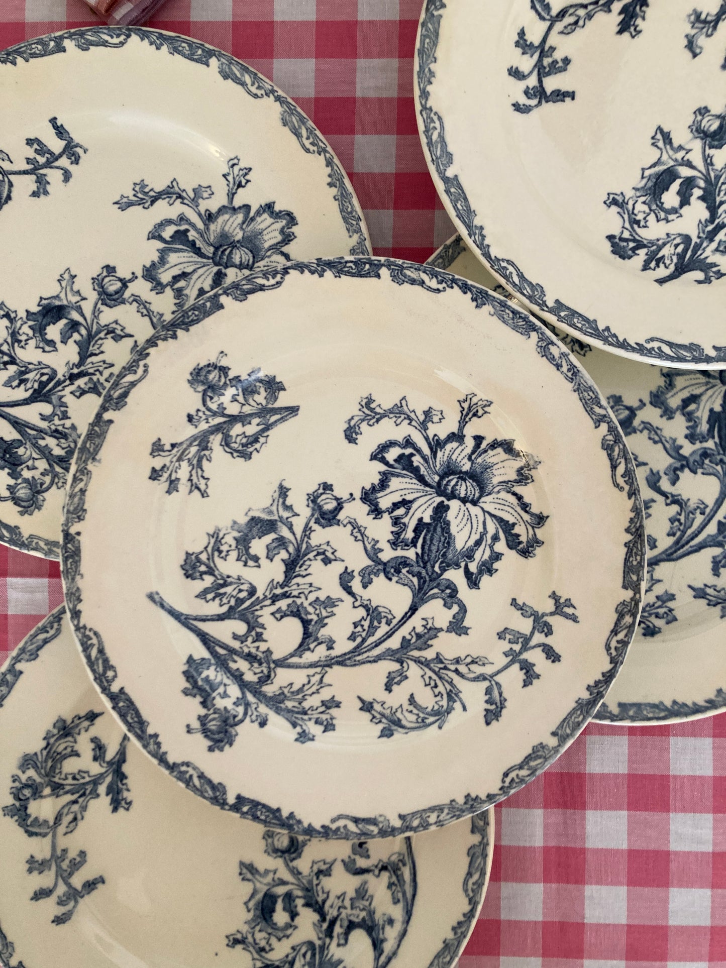 Datura - 6 Assiettes Plates