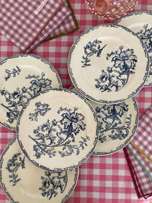 Datura - 6 Dinner Plates