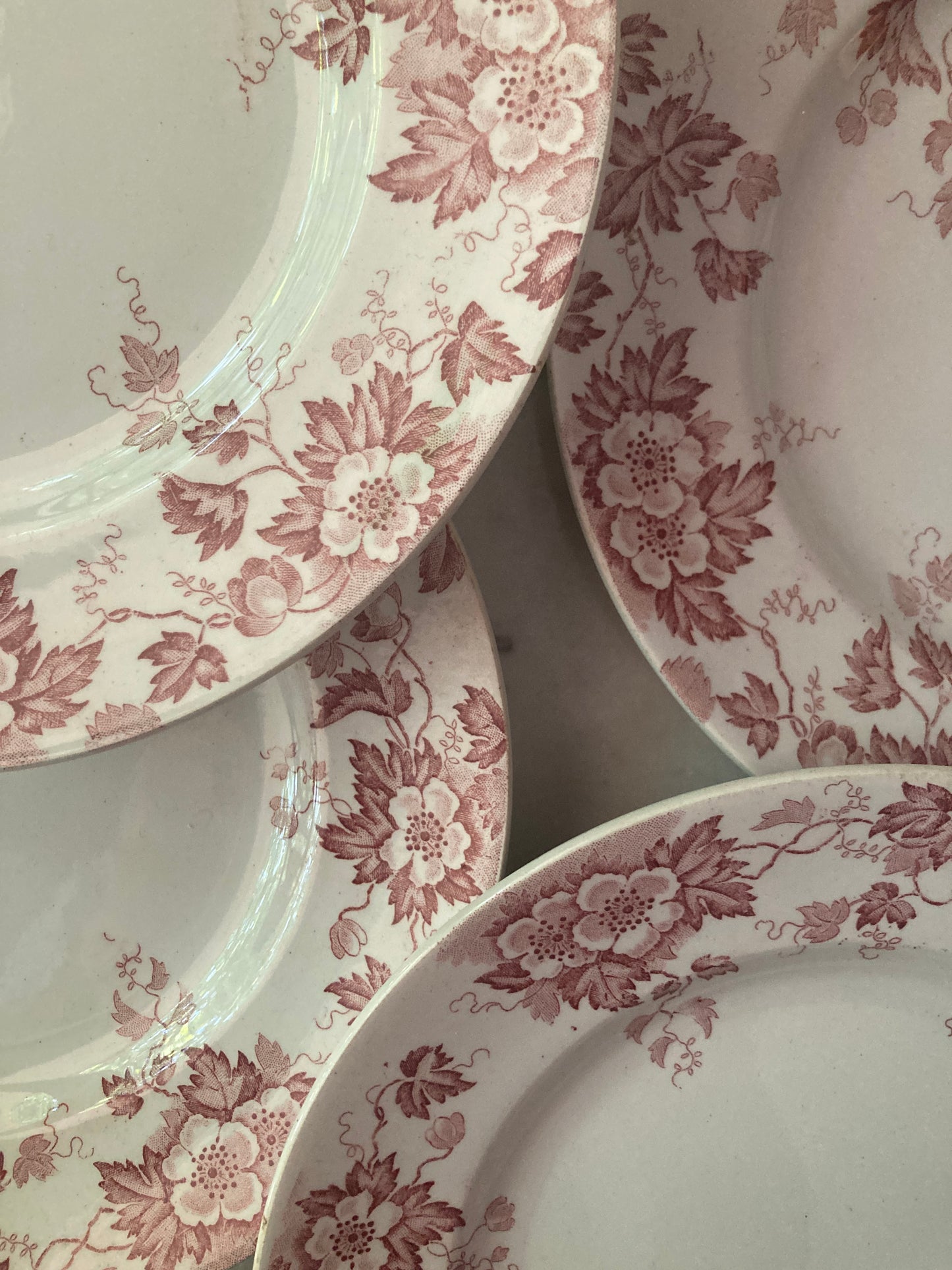 Yeddo - 6 Soup Plates