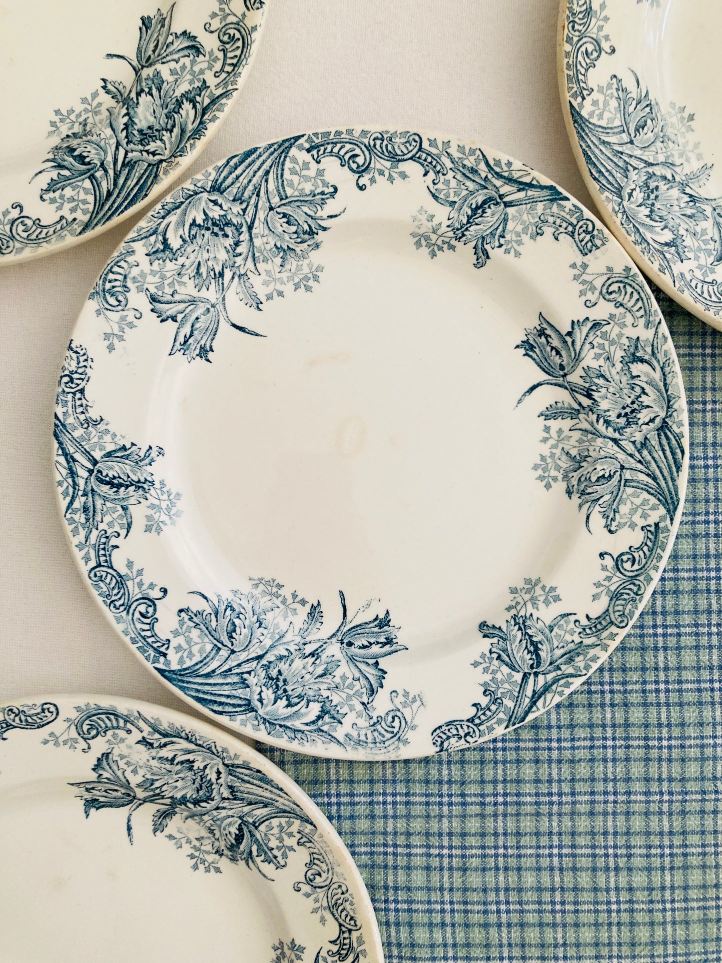 Mozart - 6 Assiettes Plates