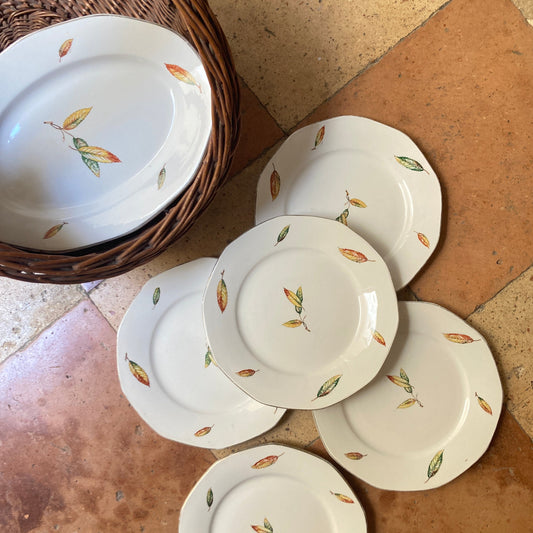 Nemours - 5 Assiettes Plates et Plat Oval