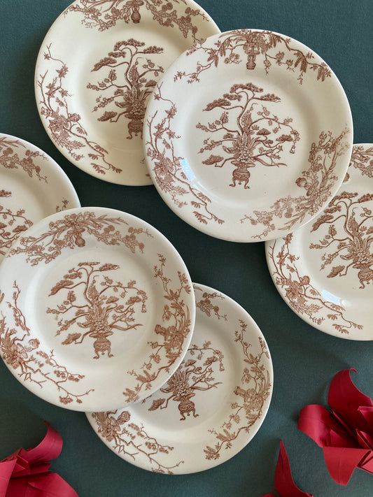 Yeddo - 6 Assiettes à Dessert