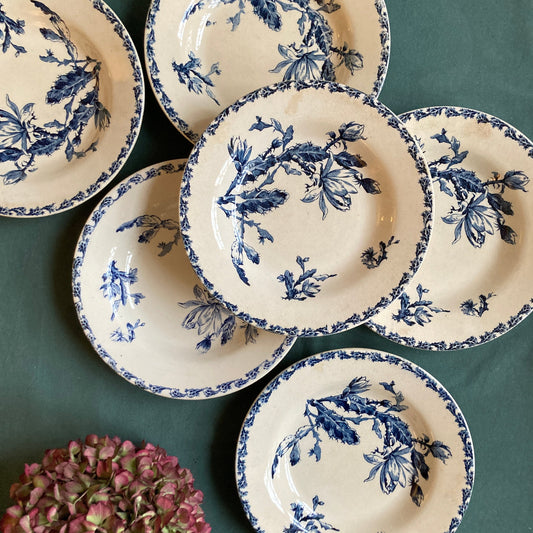 Cactus - 6 Soup Plates